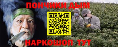mdpv Заводоуковск