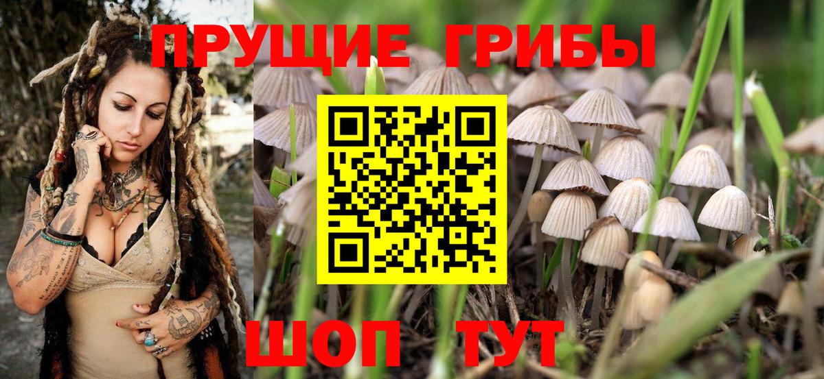Галлюциногенные грибы ЛСД Котлас