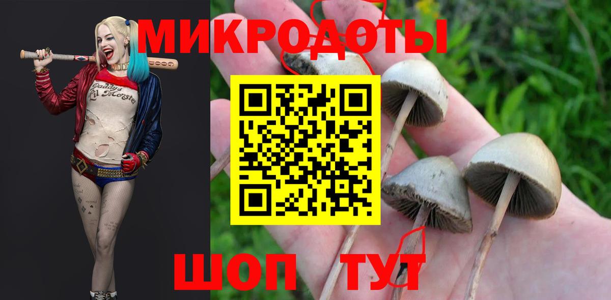 Галлюциногенные грибы Psilocybe  Вход с VPN  Котлас 
